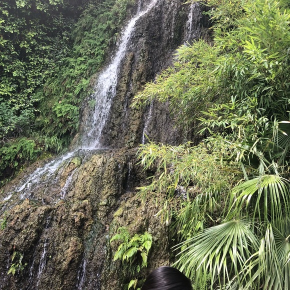 Meet your Posher, Bryann - Picture 1 of 1